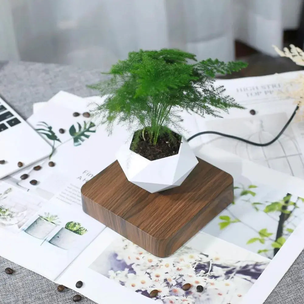 Levitating Air Bonsai Pot Rotation Flower Pot Planters